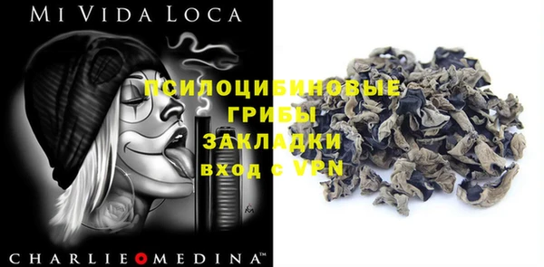 прущие грибы Алексеевка