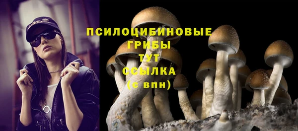 кокаин колумбия Алексин