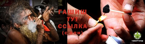 прущие грибы Алексеевка